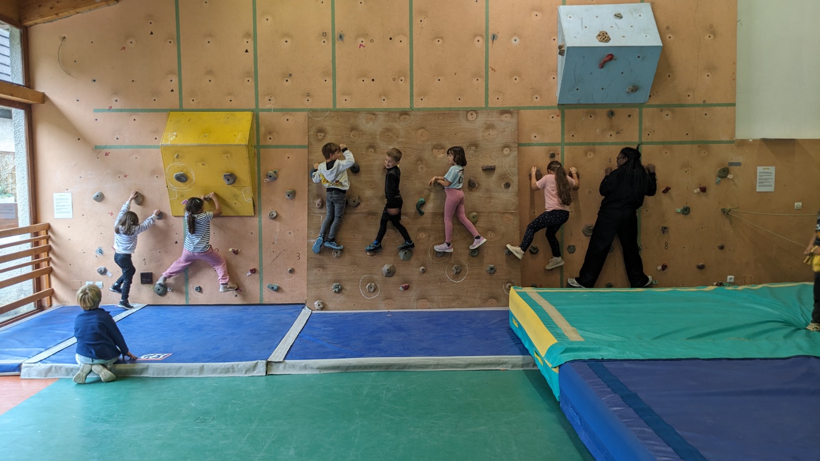 Cours d'escalade en salle